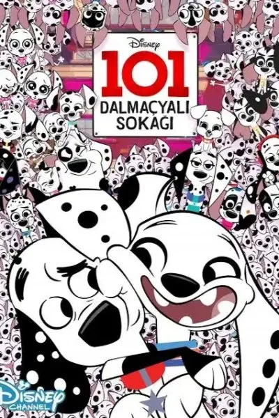 101 Dalmaçyalı Sokağı