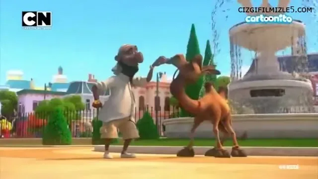 Dört Kedi ve Bir Deve