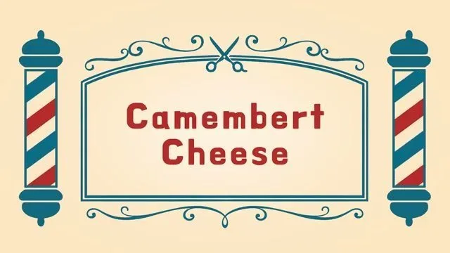 Camembert Peyniri