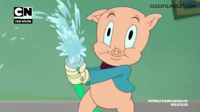 Ördeğin Savunması / Wile E. Olmak İçin Doğmuş