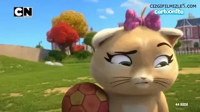 Pilou'nun Yeni Arkadaşı