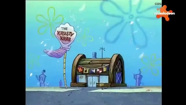 Deniz Anası Avı / Plankton!
