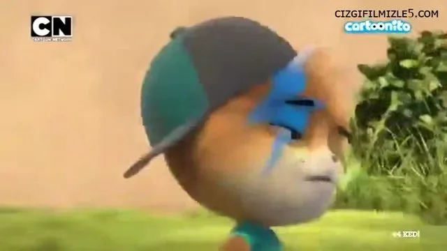 Stilist Kedi Ambrogio