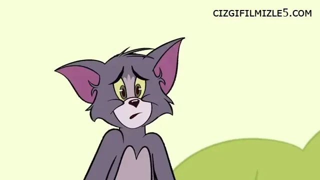Bir Fil Çiz