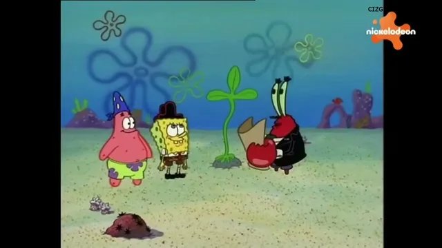 Pizza Servisi / Tatlı Evim Ananas