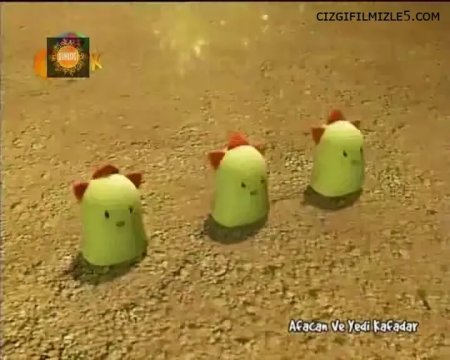 Birden Çok Kaptangury!
