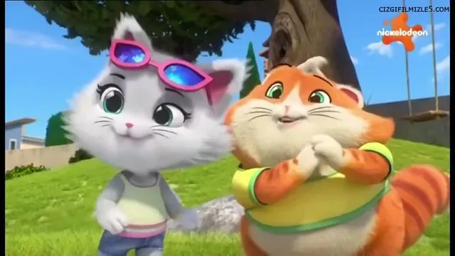 Gas Kötü Kokan Kedi
